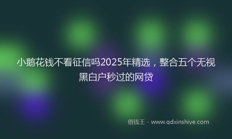 小鹅花钱不看征信吗2025年精选，整合五个无视黑白户秒过的网贷