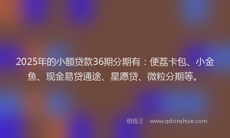 2025年的小额贷款36期分期有：便荔卡包、小金鱼、现金易贷通途、星愿贷、微粒分期等。