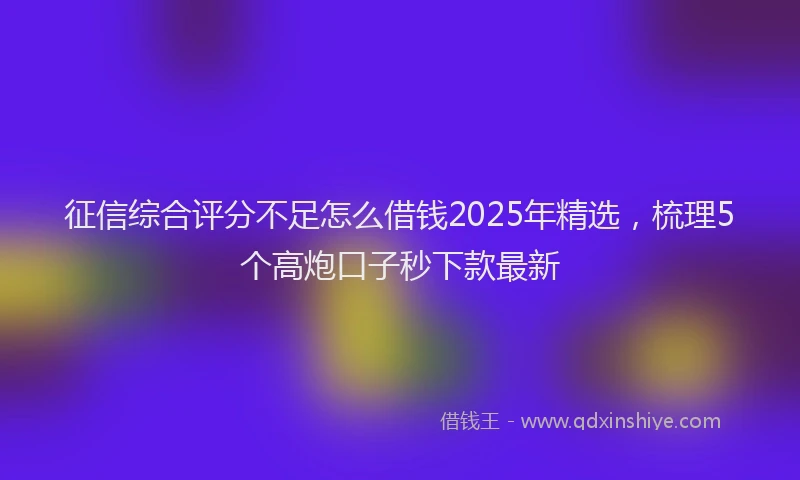 征信综合评分不足怎么借钱2025年精选，梳理5个高炮口子秒下款最新