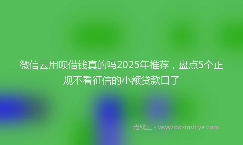 微信云用呗借钱真的吗2025年推荐，盘点5个正规不看征信的小额贷款口子