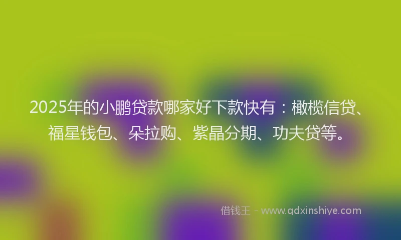 2025年的小鹏贷款哪家好下款快有：橄榄信贷、福星钱包、朵拉购、紫晶分期、功夫贷等。
