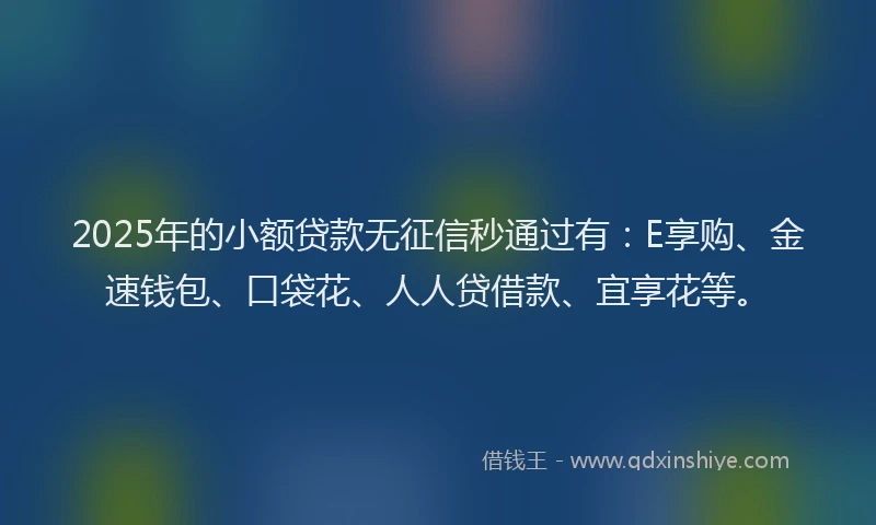 2025年的小额贷款无征信秒通过有：E享购、金速钱包、口袋花、人人贷借款、宜享花等。