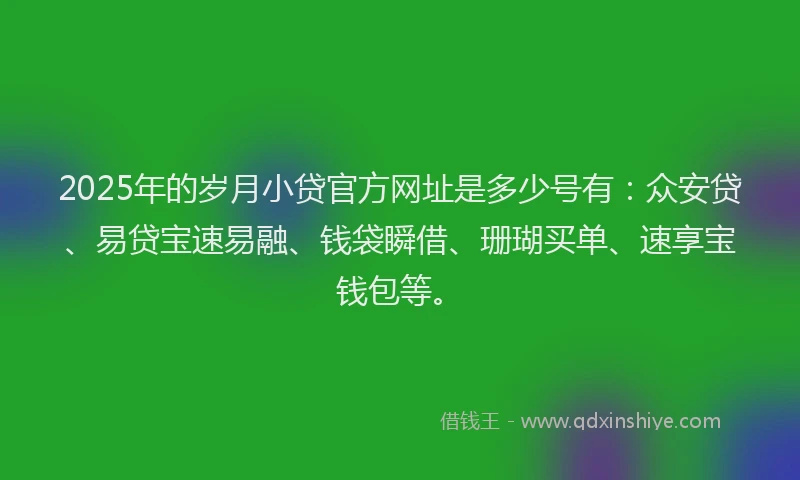 2025年的岁月小贷官方网址是多少号有：众安贷、易贷宝速易融、钱袋瞬借、珊瑚买单、速享宝钱包等。