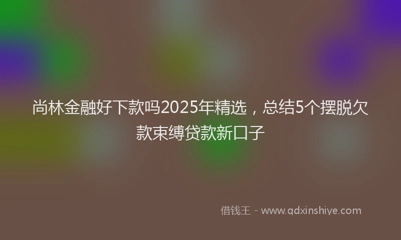 尚林金融好下款吗2025年精选，总结5个摆脱欠款束缚贷款新口子