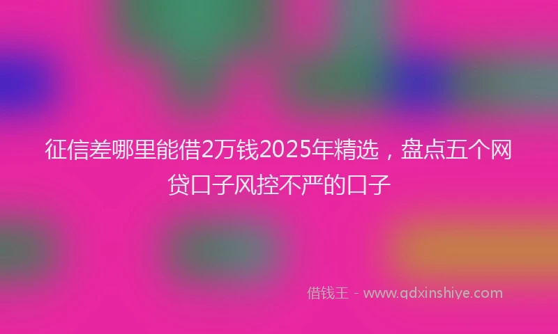 征信差哪里能借2万钱2025年精选，盘点五个网贷口子风控不严的口子