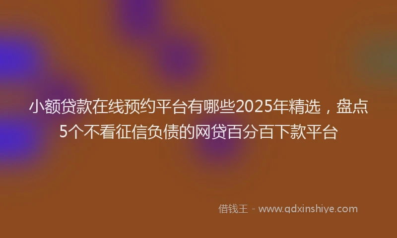 小额贷款在线预约平台有哪些2025年精选，盘点5个不看征信负债的网贷百分百下款平台