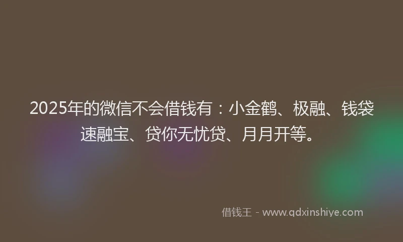 2025年的微信不会借钱有：小金鹤、极融、钱袋速融宝、贷你无忧贷、月月开等。