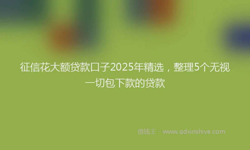 征信花大额贷款口子2025年精选，整理5个无视一切包下款的贷款