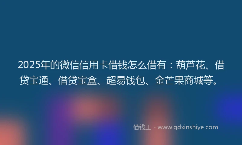 2025年的微信信用卡借钱怎么借有：葫芦花、借贷宝通、借贷宝盒、超易钱包、金芒果商城等。