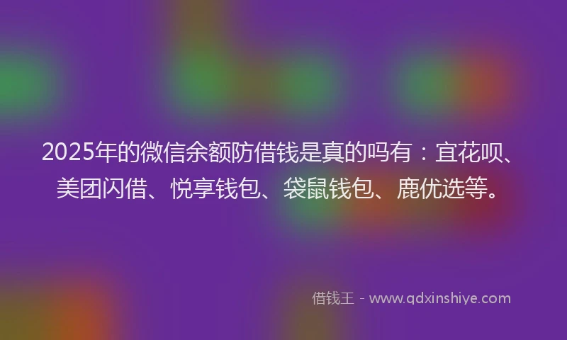 2025年的微信余额防借钱是真的吗有：宜花呗、美团闪借、悦享钱包、袋鼠钱包、鹿优选等。