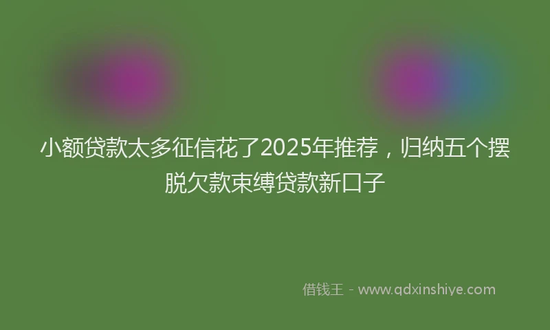 小额贷款太多征信花了2025年推荐，归纳五个摆脱欠款束缚贷款新口子