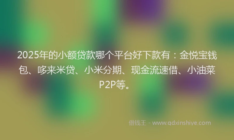 2025年的小额贷款哪个平台好下款有：金悦宝钱包、哆来米贷、小米分期、现金流速借、小油菜P2P等。