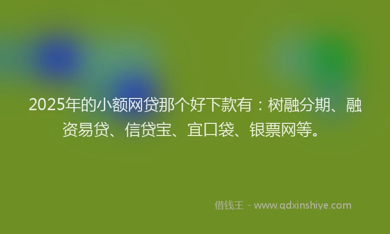 2025年的小额网贷那个好下款有：树融分期、融资易贷、信贷宝、宜口袋、银票网等。