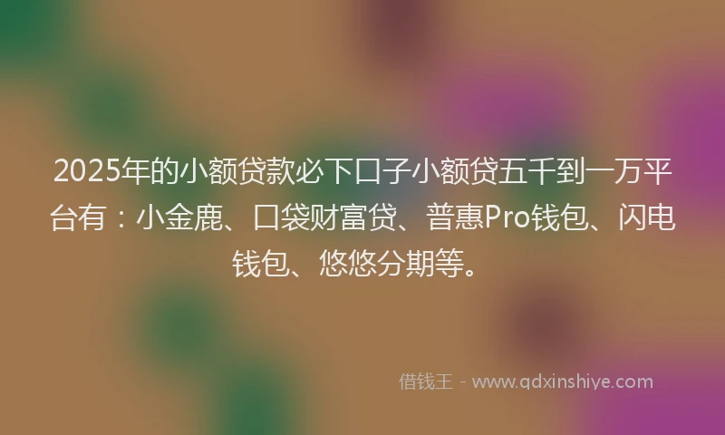 2025年的小额贷款必下口子小额贷五千到一万平台有：小金鹿、口袋财富贷、普惠Pro钱包、闪电钱包、悠悠分期等。