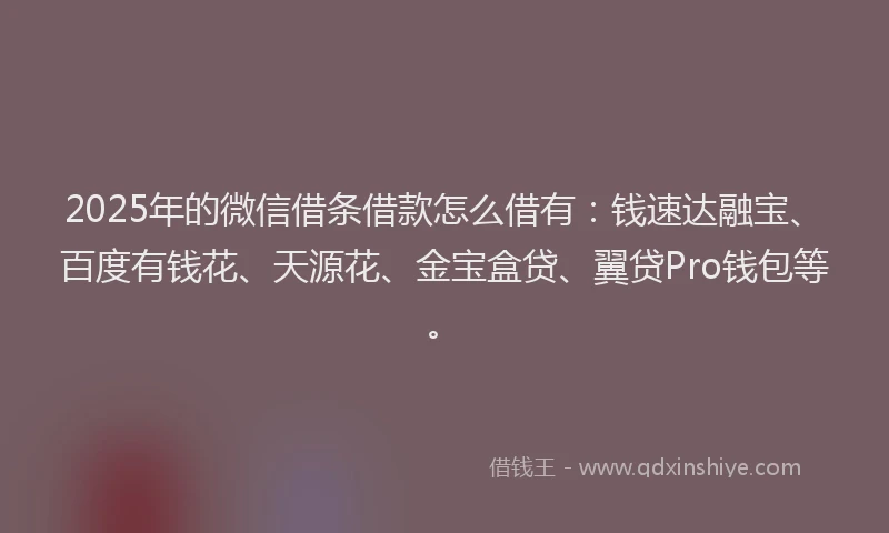 2025年的微信借条借款怎么借有：钱速达融宝、百度有钱花、天源花、金宝盒贷、翼贷Pro钱包等。