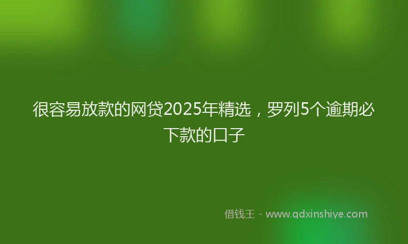 很容易放款的网贷2025年精选，罗列5个逾期必下款的口子