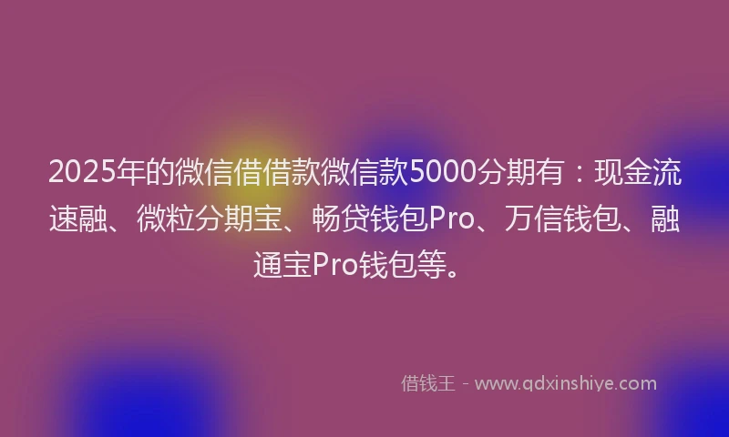 2025年的微信借借款微信款5000分期有：现金流速融、微粒分期宝、畅贷钱包Pro、万信钱包、融通宝Pro钱包等。