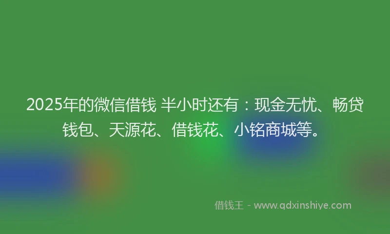 2025年的微信借钱 半小时还有：现金无忧、畅贷钱包、天源花、借钱花、小铭商城等。