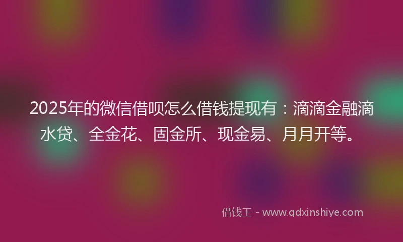 2025年的微信借呗怎么借钱提现有：滴滴金融滴水贷、全金花、固金所、现金易、月月开等。