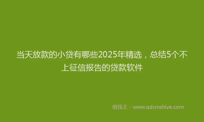 当天放款的小贷有哪些2025年精选，总结5个不上征信报告的贷款软件