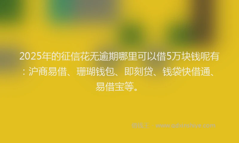2025年的征信花无逾期哪里可以借5万块钱呢有：沪商易借、珊瑚钱包、即刻贷、钱袋快借通、易借宝等。