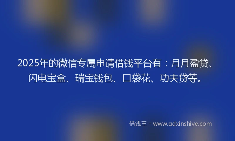 2025年的微信专属申请借钱平台有：月月盈贷、闪电宝盒、瑞宝钱包、口袋花、功夫贷等。