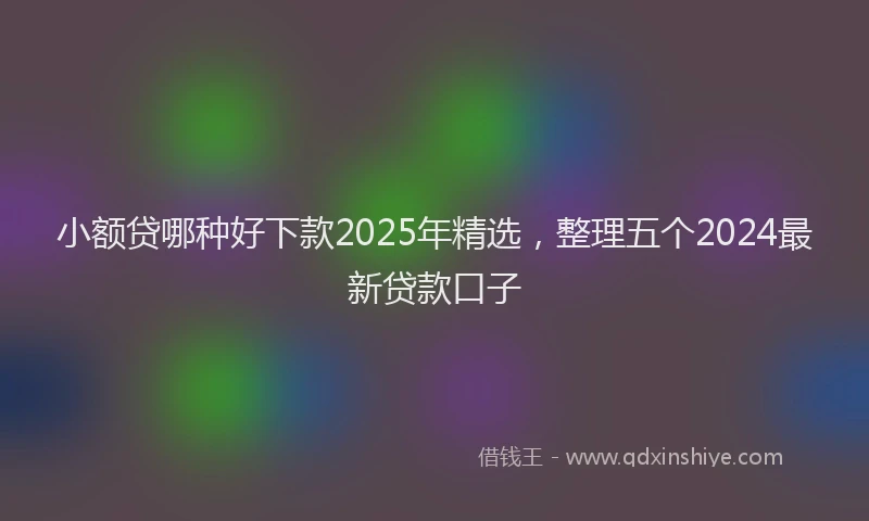 小额贷哪种好下款2025年精选，整理五个2024最新贷款口子