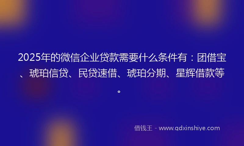 2025年的微信企业贷款需要什么条件有：团借宝、琥珀信贷、民贷速借、琥珀分期、星辉借款等。
