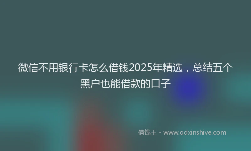 微信不用银行卡怎么借钱2025年精选，总结五个黑户也能借款的口子