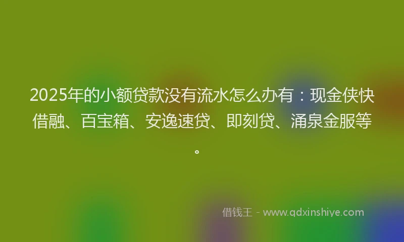 2025年的小额贷款没有流水怎么办有：现金侠快借融、百宝箱、安逸速贷、即刻贷、涌泉金服等。