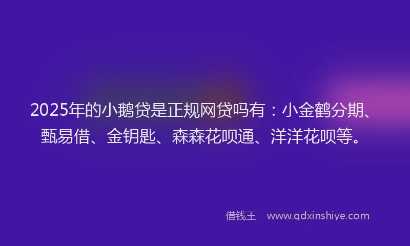 2025年的小鹅贷是正规网贷吗有：小金鹤分期、甄易借、金钥匙、森森花呗通、洋洋花呗等。