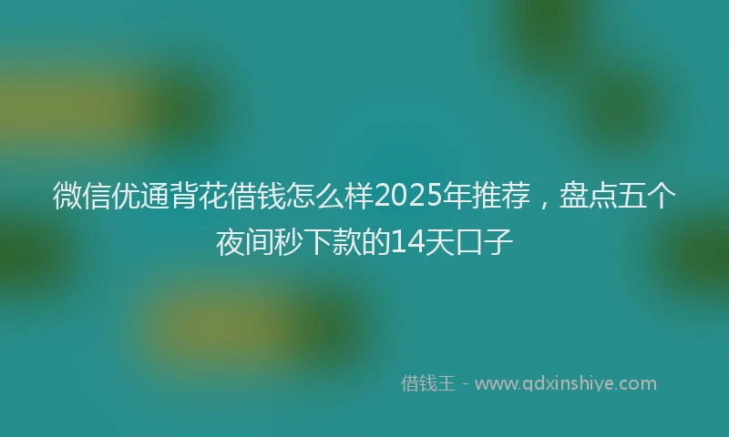 微信优通背花借钱怎么样2025年推荐，盘点五个夜间秒下款的14天口子