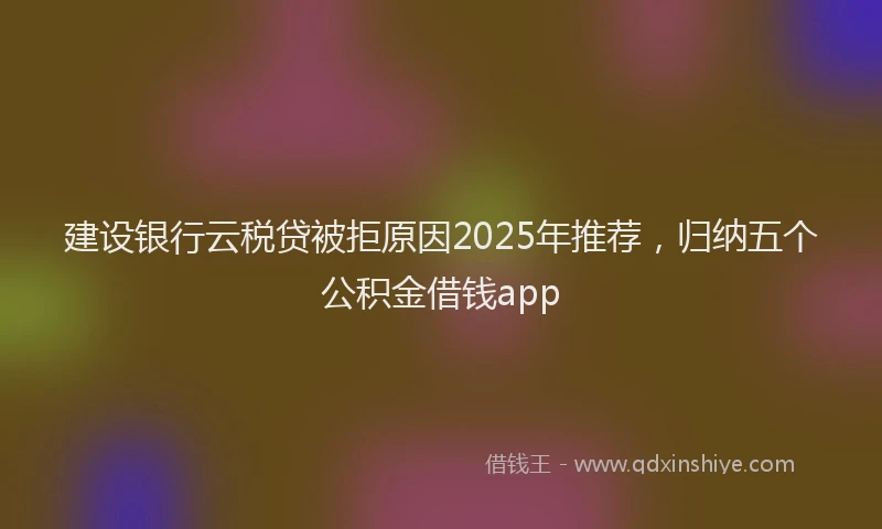 建设银行云税贷被拒原因2025年推荐，归纳五个公积金借钱app