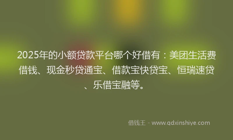 2025年的小额贷款平台哪个好借有：美团生活费借钱、现金秒贷通宝、借款宝快贷宝、恒瑞速贷、乐借宝融等。