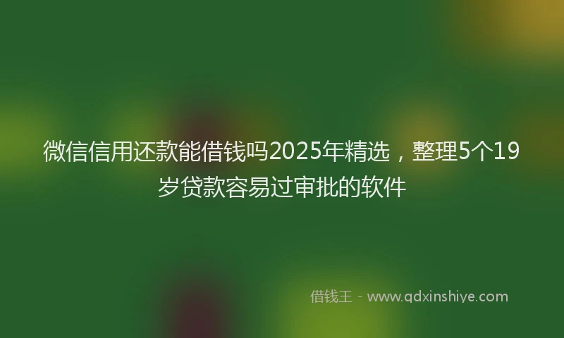 微信信用还款能借钱吗2025年精选，整理5个19岁贷款容易过审批的软件