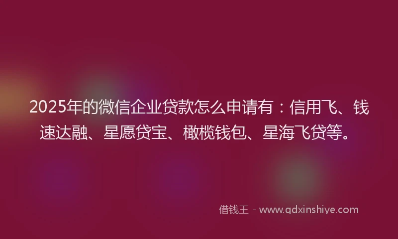 2025年的微信企业贷款怎么申请有：信用飞、钱速达融、星愿贷宝、橄榄钱包、星海飞贷等。