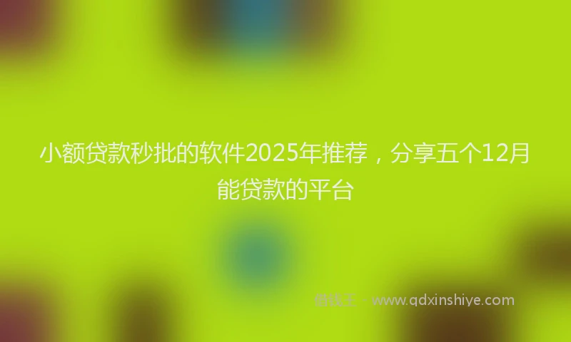 小额贷款秒批的软件2025年推荐，分享五个12月能贷款的平台