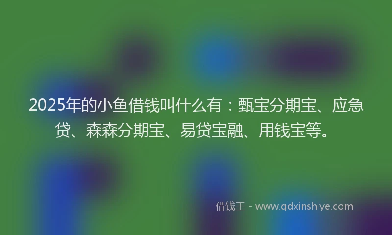 2025年的小鱼借钱叫什么有：甄宝分期宝、应急贷、森森分期宝、易贷宝融、用钱宝等。