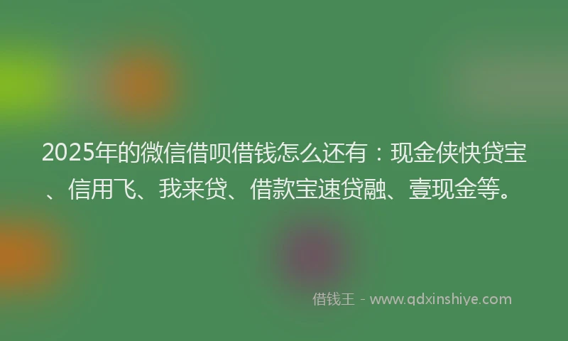 2025年的微信借呗借钱怎么还有：现金侠快贷宝、信用飞、我来贷、借款宝速贷融、壹现金等。