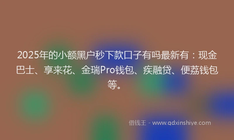2025年的小额黑户秒下款口子有吗最新有：现金巴士、享来花、金瑞Pro钱包、疾融贷、便荔钱包等。