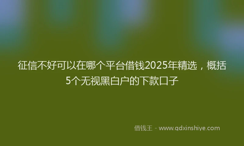 征信不好可以在哪个平台借钱2025年精选，概括5个无视黑白户的下款口子