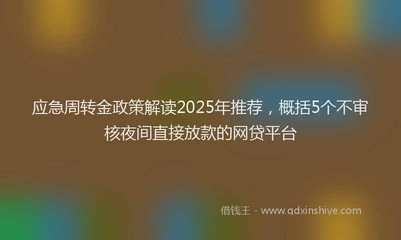 应急周转金政策解读2025年推荐，概括5个不审核夜间直接放款的网贷平台