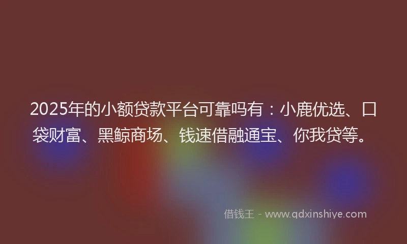 2025年的小额贷款平台可靠吗有：小鹿优选、口袋财富、黑鲸商场、钱速借融通宝、你我贷等。
