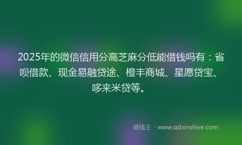 2025年的微信信用分高芝麻分低能借钱吗有：省呗借款、现金易融贷途、橙丰商城、星愿贷宝、哆来米贷等。