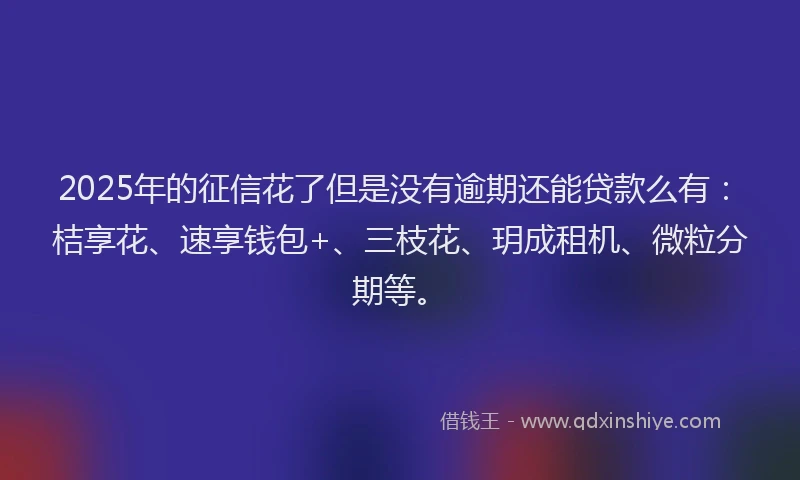 2025年的征信花了但是没有逾期还能贷款么有：桔享花、速享钱包+、三枝花、玥成租机、微粒分期等。