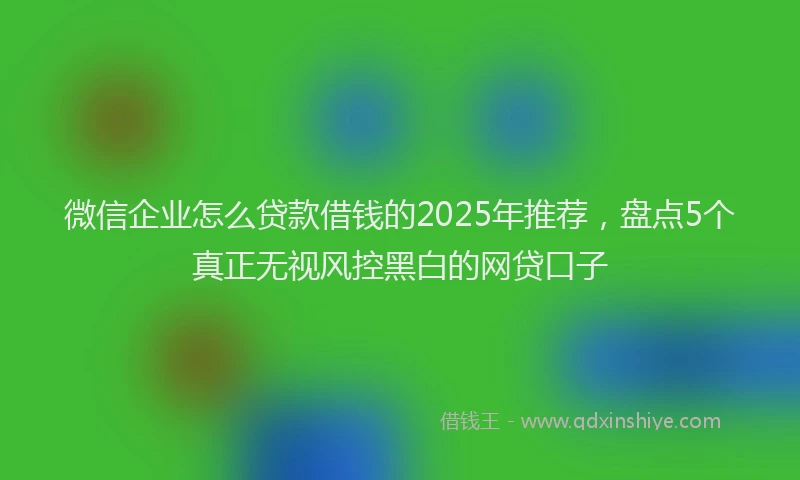 微信企业怎么贷款借钱的2025年推荐，盘点5个真正无视风控黑白的网贷口子