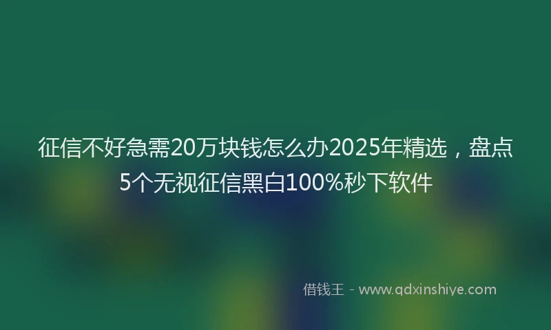 征信不好急需20万块钱怎么办2025年精选，盘点5个无视征信黑白100%秒下软件
