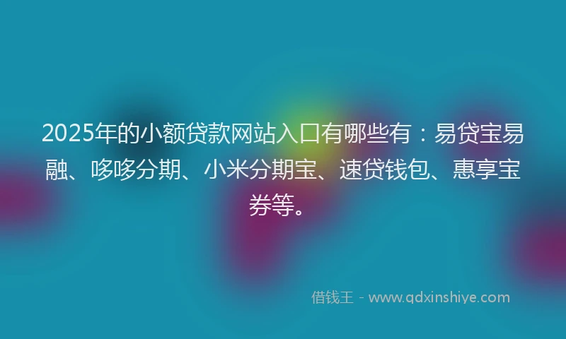 2025年的小额贷款网站入口有哪些有：易贷宝易融、哆哆分期、小米分期宝、速贷钱包、惠享宝券等。