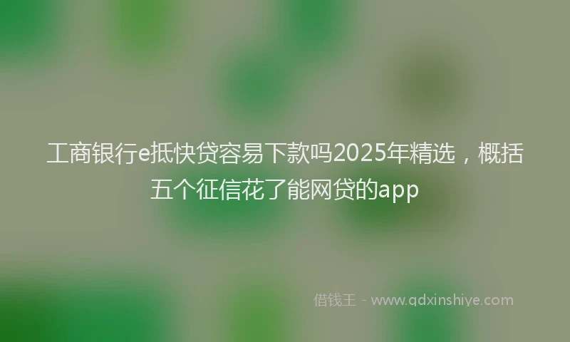 工商银行e抵快贷容易下款吗2025年精选，概括五个征信花了能网贷的app