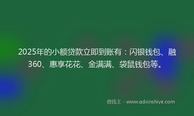 2025年的小额贷款立即到账有：闪银钱包、融360、惠享花花、金满满、袋鼠钱包等。